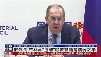palecarnations下载安卓-(palecarnations v031)