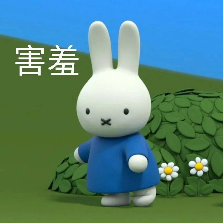 表情下载站(表情包下载安装)