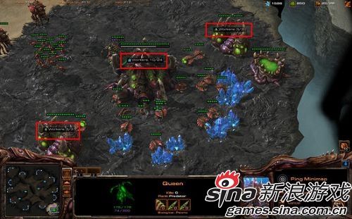老手玩家试玩教程下载_(老手玩家试玩教程下载百度云)